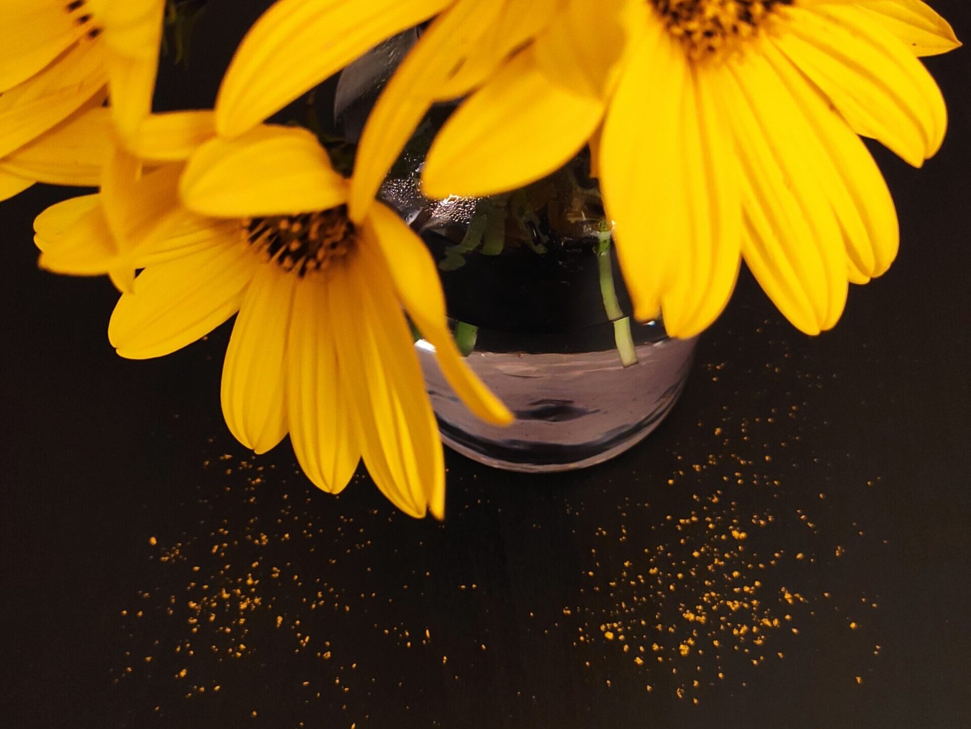 Glanca li se i vaš život do usijanja?