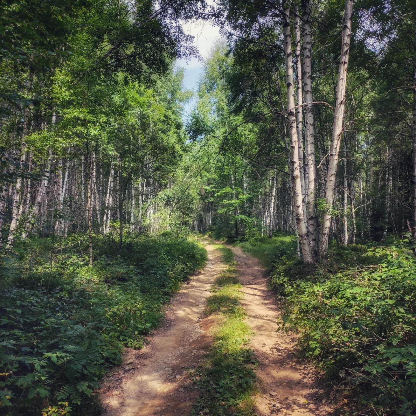 Je l’ težina tuđeg mišljenja obrnuto proporcionalna vašoj sreći?