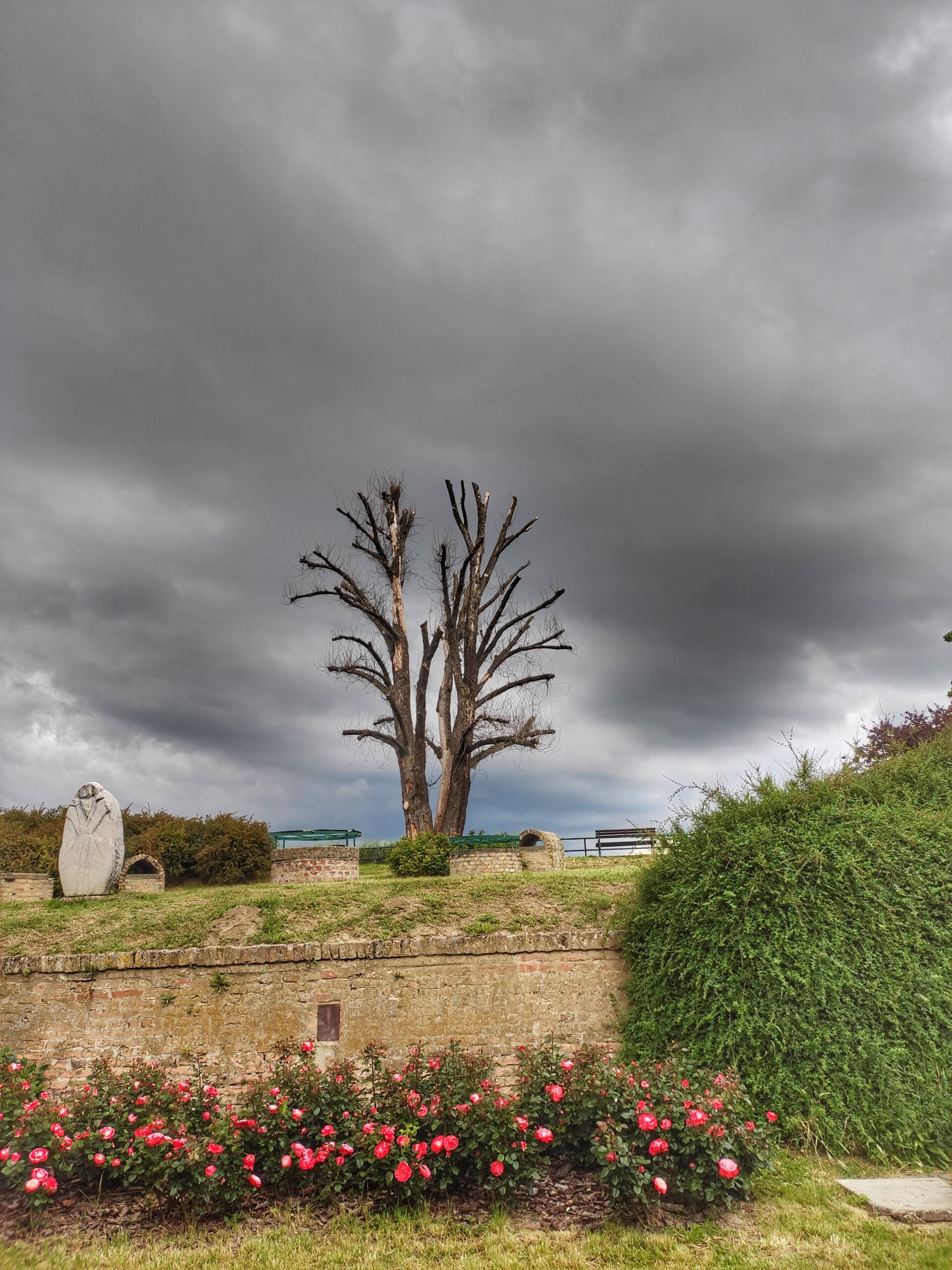 Ima li bol rok trajanja?